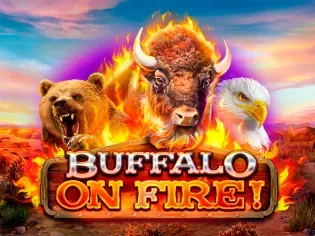 Buffalo on Fire game cover