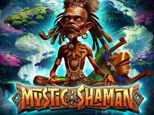 Mystic Shaman game cover
