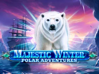 Majestic Winter - Polar Adventures game cover