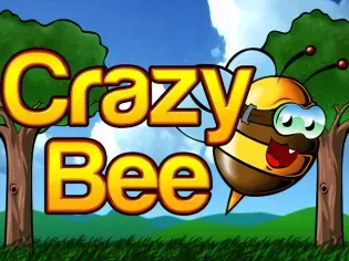 Crazy Bee game cover